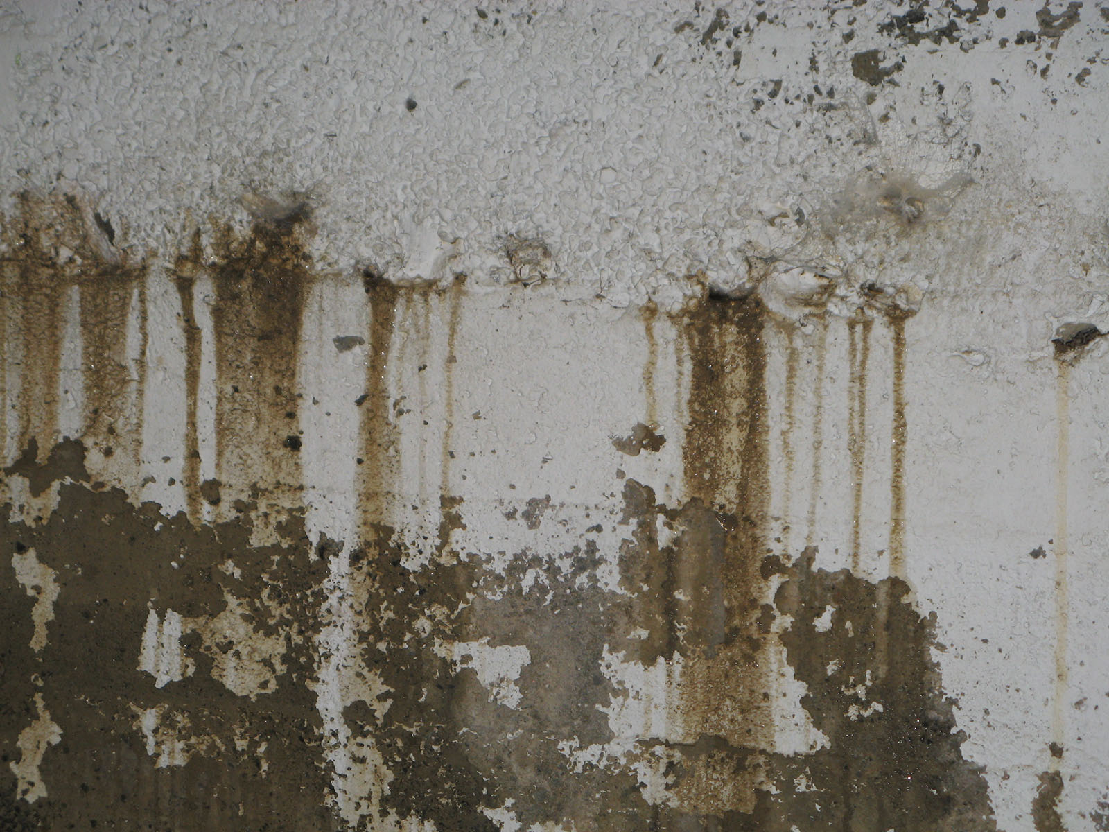 waterproofing basement wall